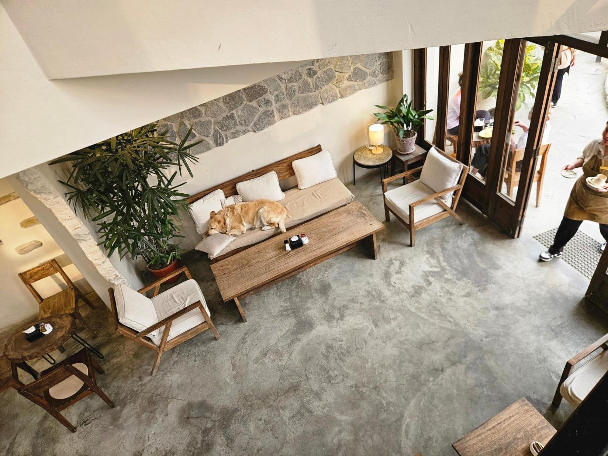 Hotel Blossom Pokhara Eksteriør billede